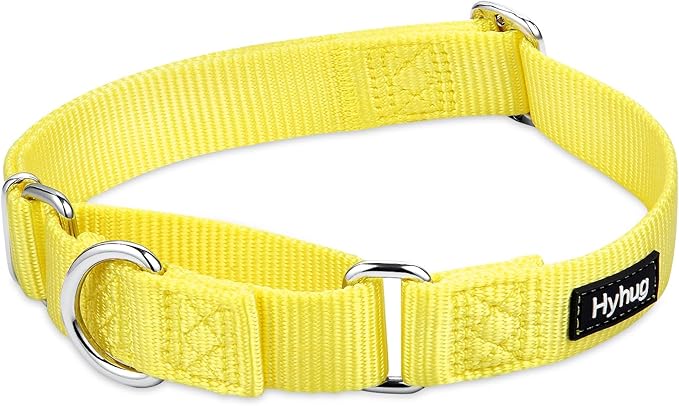 Hyhug Pets Premium Upgraded Heavy Duty Nylon Anti-Escape Pup Martingale Collar for Boy and Girl Dogs Comfy and Safe - Professional Training, Daily Use Walking. (Small, Illuminating Yellow)