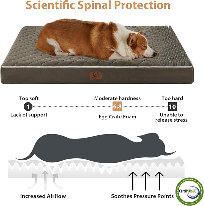 WNPETHOME Orthopedic Dog Bed Medium Size Dog, Waterproof Medium Dogs Bed with Removable Washable Cover, Multi-Needle Quilting Dogs Crate Bed