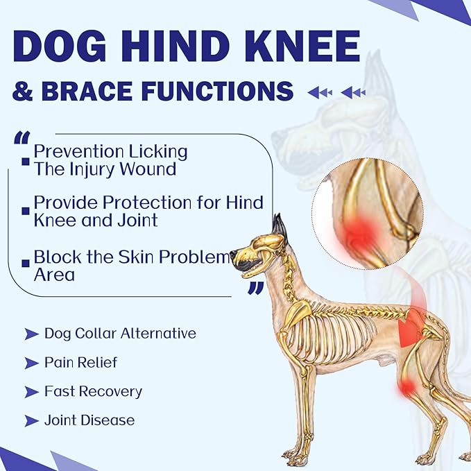 ROZKITCH Dog Surgery Leg Sleeve Rear Legs, Male Female Pet Prevent Licking Wound Elbow Knee Protector, Dog Recovery Suit Cone Collar Alternative Pants Shirt for Wound Heal Wrap Rosered M