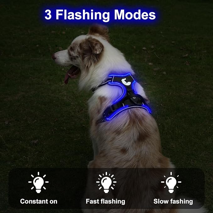 Taglory Light Up Dog Harness, Rechargeable No Pull Dog Vest with 3 Lightning Modes, Reflective Dog Harness with 2 Leash Clips & 4 Adjustable Slide Strips for Medium Dogs, Black-Blue, M