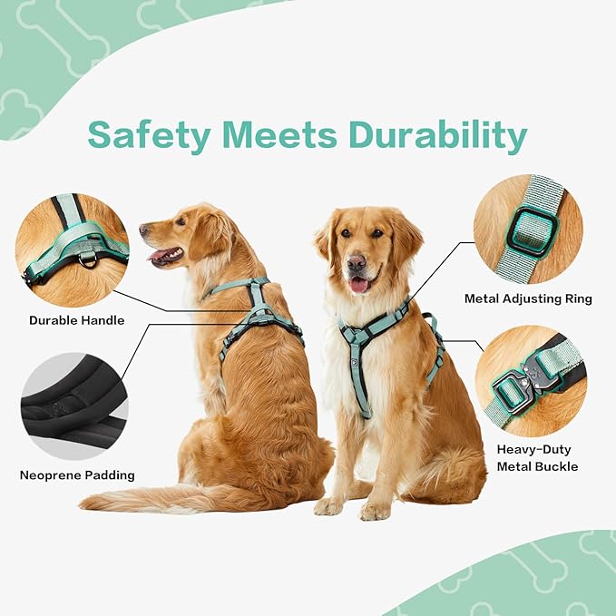 CLEPAWS Dog Harness for X-Large Dogs, No Pull Dog Harness Easy Walk with Metal Hardware, Ergonomic Y-Shaped Design, Soft Padding, Padded Handle, Durable High-Tensile Nylon (Seabreeze, XL)