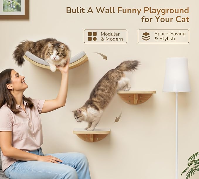 Cat Wall Shelf & Window Perch Combo, Wood Cats Wall Furniture with Soft Foam Curved Bed and Felt-Padded Steps, 4-Piece Floating Cat Climbing System