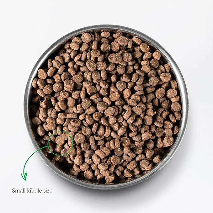 Open Farm Pasture-Raised Lamb Grain-Free Dry Cat Food, Humanely Raised Lamb Recipe with Non-GMO Superfoods and No Artificial Flavors or Preservatives, 2 lbs