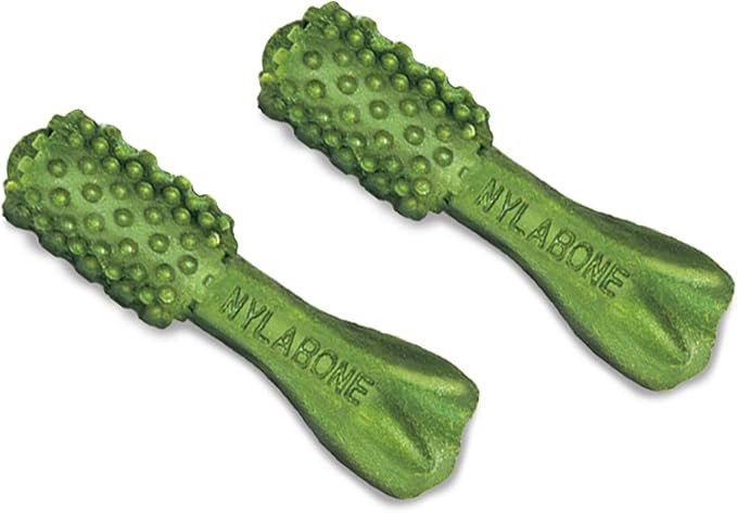 Nylabone Nutri Dent Dog Dental Chews - Natural Dog Teeth Cleaning & Breath Freshener - Dental Treats for Dogs - Fresh Breath Flavor, Mini (160 Count)