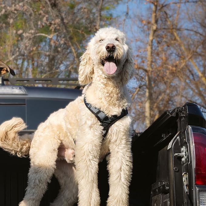 CLEPAWS Dog Harness for Small Dogs, No Pull Dog Harness Easy Walk with Metal Hardware, Ergonomic Y-Shaped Design, Soft Padding, Padded Handle, Durable High-Tensile Nylon (Nightfall, S)