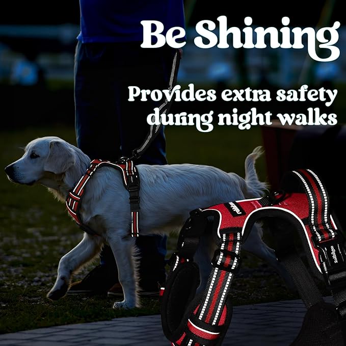 rabbitgoo Dog Harness for Large, No Pull Pet Harness with 3 Buckles, Adjustable Soft Padded Vest with Control Handle, Walking Reflective Pet Vest for Extra Large Dogs, Red, XL