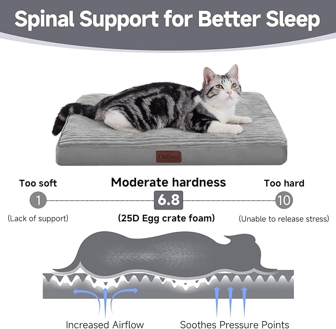 OhGeni Orthopedic Waterproof & Machine Washable Dog Bed for Small Pets, Suitable for Crates, Cat Mat with 25D Egg Crate Foam, Non-Slip Bottom & Removable Cover, Invisible Zipper, 24 Inches(Gray)