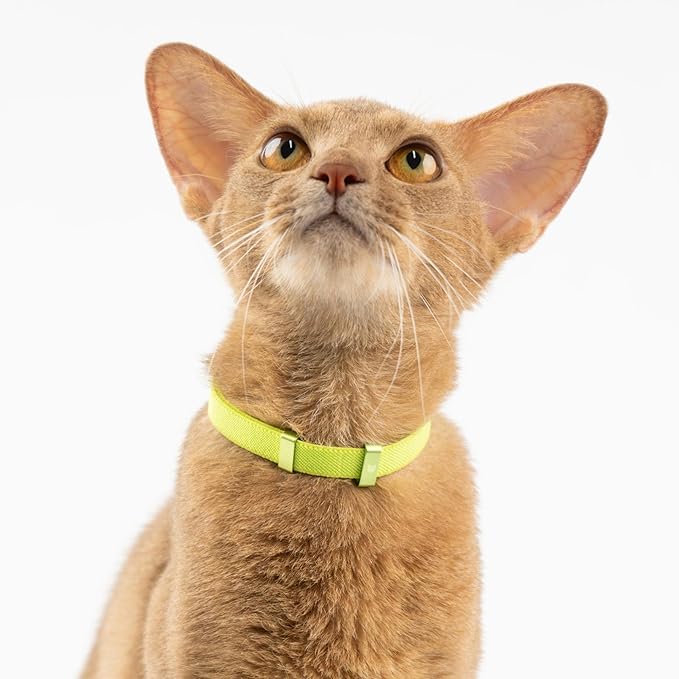 Safety Cat Collar - U.S. IDA Gold Awarding Design, Elastic Quick Release, Non Breakaway - Lightweight for Kitten, Neck Fit 5.9'-11.8' for All Small Large Cat,S(Sunshine)