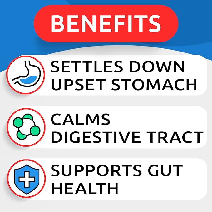 BARK&SPARK Pumpkin Powder for Dogs - 16.2oz Powdered Fiber Supplement and Stool Softener - Upset Stomach, Food Sensitivity - Improve Digestion - 16.2oz Powder