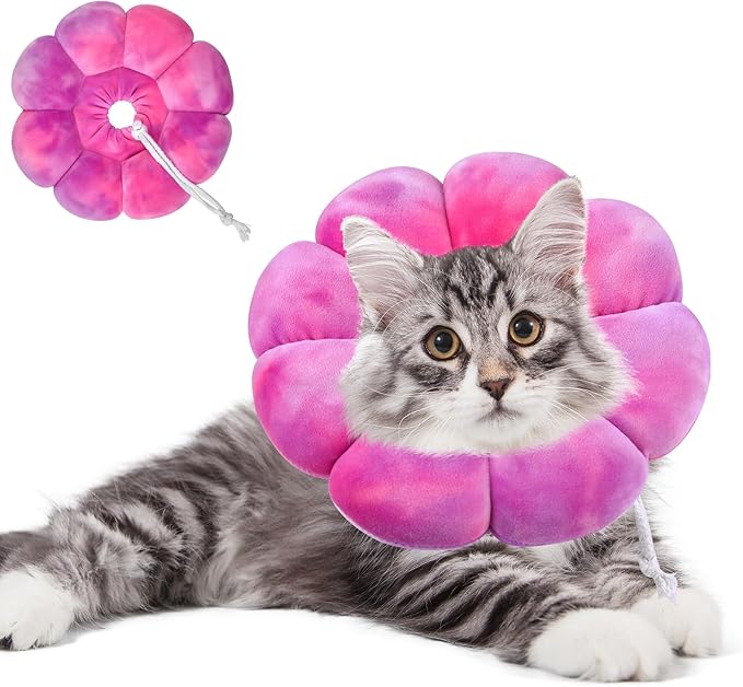 Dog Cat Surgical Recovery Cone Dog Protective Collar, Pet Recovery E-Collar Soft Neck Cone to Stop Licking Wound for Cats & Kittens Small Dog After Surgery