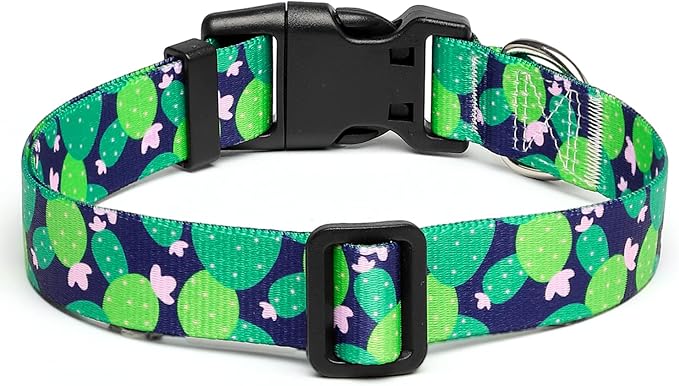 Mercano Adjustable Dog Collar - Special Design Patterns, Soft Nylon Comfortable Durable Pet Collar for Small Medium Large Dogs (XS, Cactus)