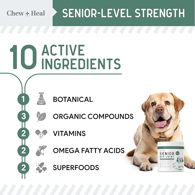 Glucosamine for Dogs Hip and Joint Supplement - 120 Senior Dogs Mobility Soft Chews - Made with Glucosamine, MSM, Chondroitin, Green Lipped Mussels and More - Made in The USA