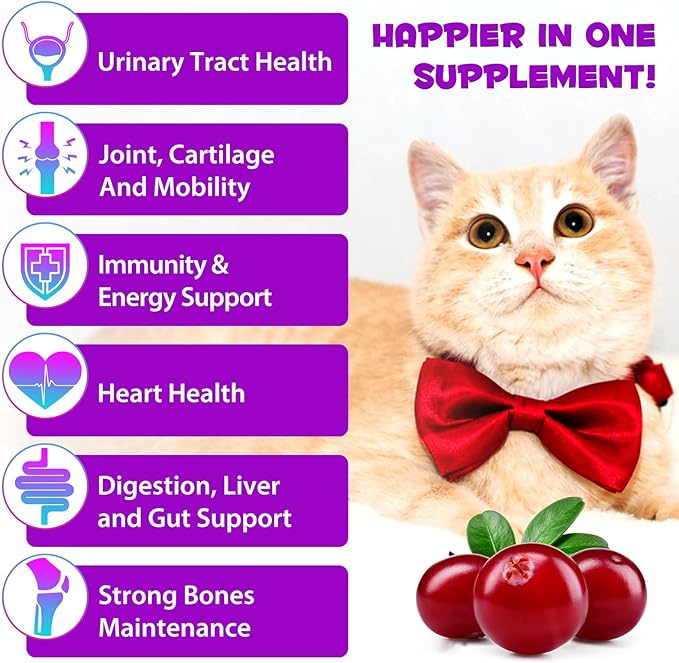 Cat Multivitamin, 15 in 1 Cat Multivitamin Liquid Drops, Cats Vitamins and Supplements with Glucosamine and Probiotics, Bones, Joint, Skin & Coat, Bladder, Immune System Support, 60ML