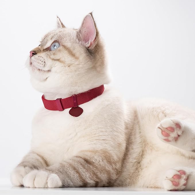 Safety Cat Collar Pro and Tag Set - U.S. IDA Gold Award, Elastic Release Cat Collar Charm Tag, Non Breakaway Cat Collar Adjustable with Charm for Kitten Small Large Cats (Blush Pink, S)