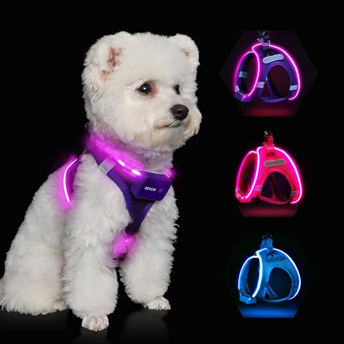 Light Up Dog Harness,Rechargeable LED Dog Harness for Small Medium Large Dogs,Reflective Lighted Safety Vest for Night Walking & Camping,Lightweight & Adjustable,Purple,M