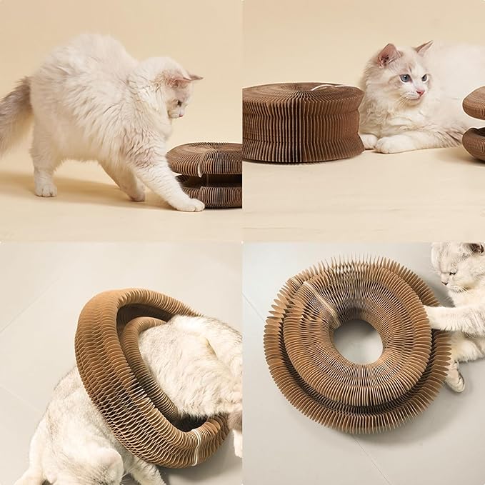 Magic Accordion Cat Scratching Board - Interactive Toy for Bored Indoor Cats, Fun & Durable Cat Toys 2Pack