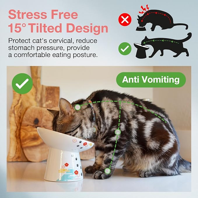 Necoichi Extra Wide Raised Cat Food Bowl, Elevated, Prevent Neck & Whisker Fatigue, Dishwasher and Microwave Safe, No.1 Seller in Japan! (Fuji, Extra Wide Tilted)