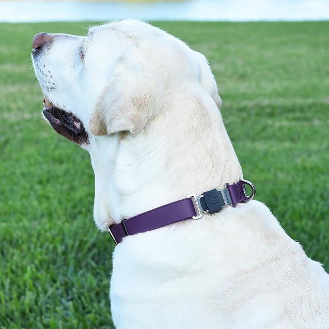 Dogline Biothane Waterproof Dog Collar with Herm Sprenger Stainless Steel Quick Release Buckle – Heavy Duty Tactical Durable Collar for Dogs – Comfortable and Safe Pet Collar, W 1" L 15-25", Purple