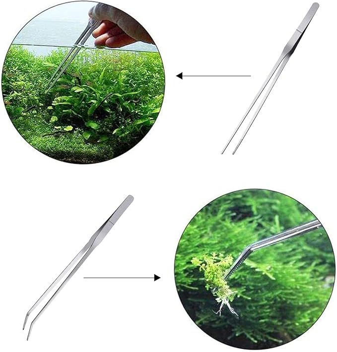 Feeding Tongs 2pcs Stainless Steel Aquarium Long Tweezers 27cm/10.6 inches Straight Curved Tweezers for Fish Tank Aquatic Plants Reptile Lizard Gecko Snake Spider Bird