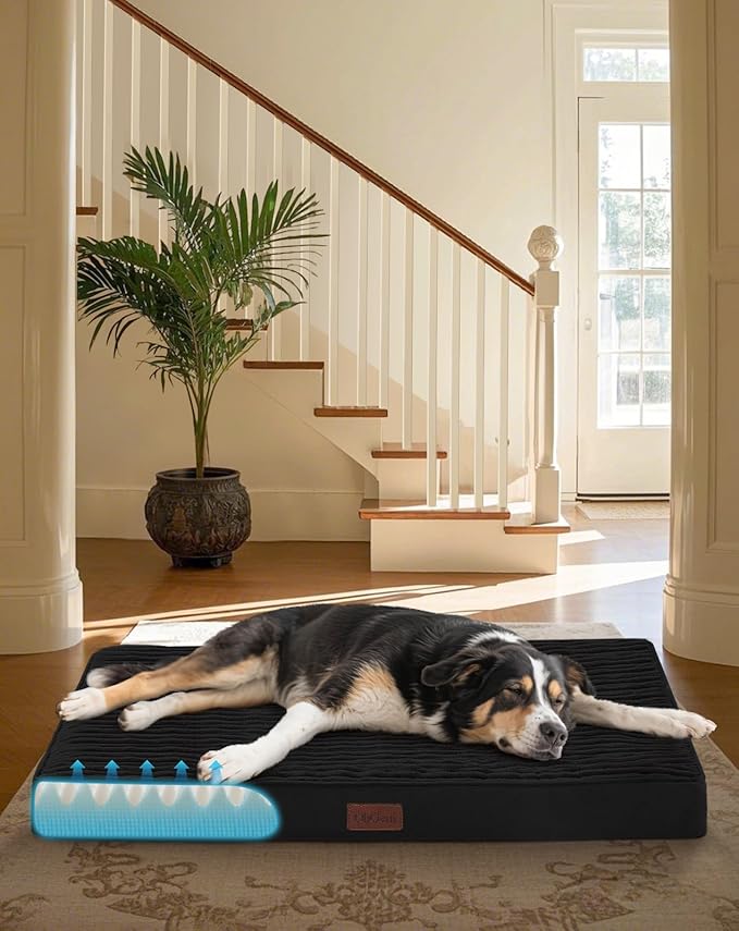 OhGeni Orthopedic Waterproof & Machine Washable Dog Bed for Medium Large Pets, Suitable for Crates, 25D Egg Crate Foam, Non-Slip Bottom & Removable Cover, Invisible Zipper, 35 Inches(Black)