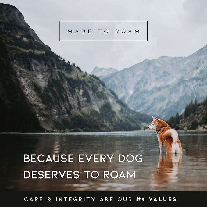 MADE TO ROAM Premium Explorer Harness - Y-Shaped Dog Harness with Adjustable Durable Nylon, Soft Padding, Metal Buckles and Leather Handle for Small, Medium, Large Dogs (New York Afterlight, Size 5)