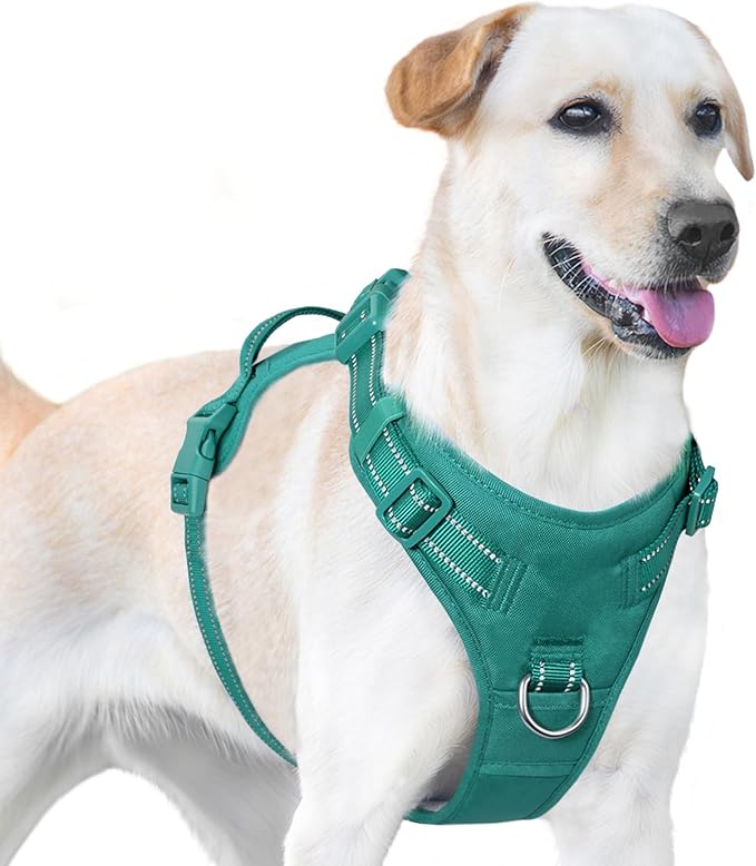 No Pull Dog Harness, Reflective Puppy Vest for Small Medium Large Sized Dog(MARRS Green,S)