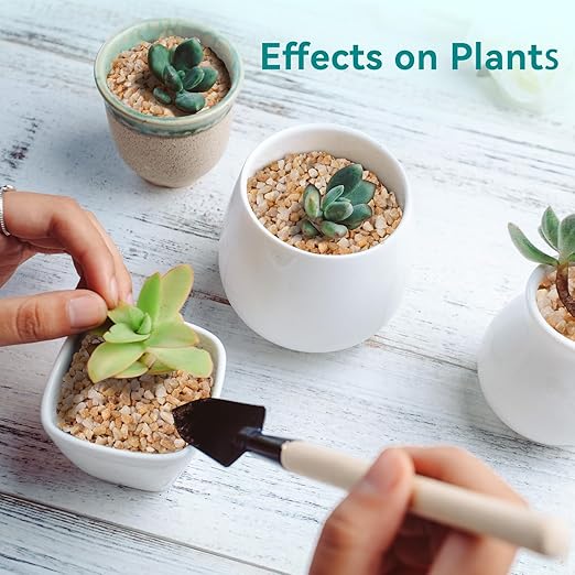 5 lbs Coarse Sand for Plants, 1/5 Inch Horticultural Sand for Vases, Aquariums, Terrarium, Fish Tank, Drainage Rocks for Potted Plants, Bamboo, Succulent, Crafts, Cactus