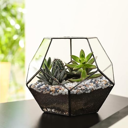 2.5 lbs Small Rocks for Plants, 1/5 Inch Pebbles for Indoor Plants, Natural Decorative Pea Gravel for Aquarium, Fish Tank, Terrarium, Succulents, Bamboo Plants, Vases, Cactus, Crafts