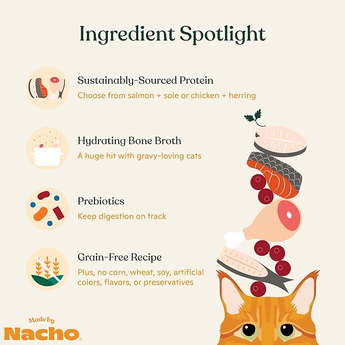 Made by Nacho Pate Wet Cat Food Variety Pack, Chicken & Herring and Salmon & Sole, 3 Ounce Cans, Grain-Free Canned Pet Food, Bone Broth Infused for Hydration, 12 Pack