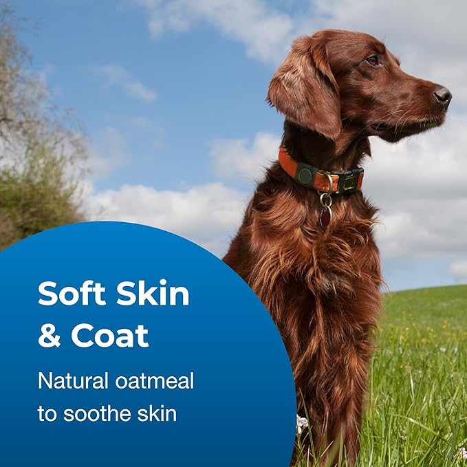 PetAg Fresh ’n Clean Oatmeal ’n Baking Soda Shampoo - Tropical Fresh Scent - 64 oz - Nurtures Dry, Itchy & Sensitive Skin with Vitamin E & Aloe - Strengthens & Repairs Coats - Soap Free