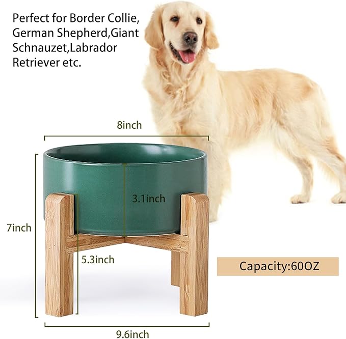 Petygooing Green Elevated/Raised Ceramic Dog Bowl for Medium and Large Breeds, Dog Food Water Dish with Stand,Pet Feeding Bowl with Anti Slip Rubber Large Dogs(1800ml 7.6 Cups)