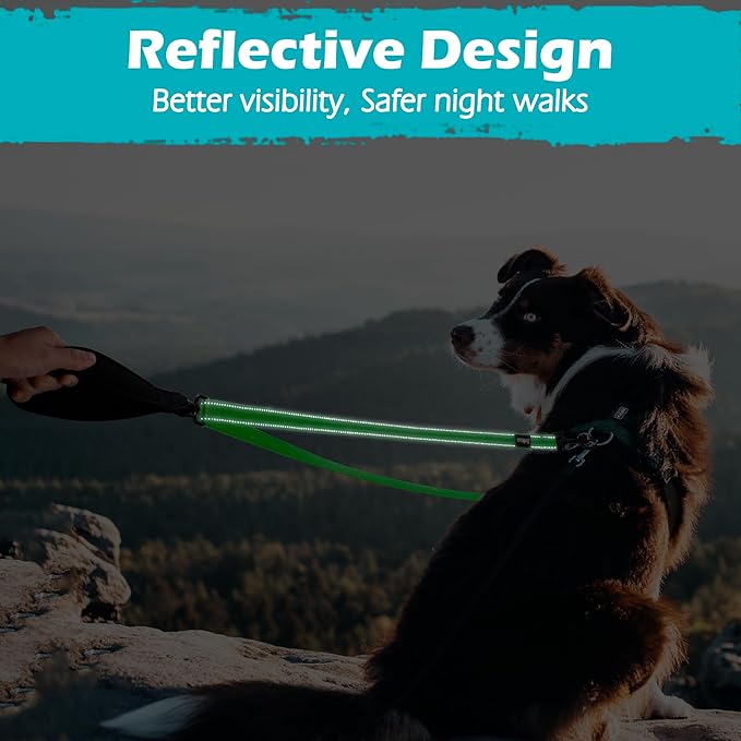 PetBonus Two Point Control Dog Leash, Works with No Pull Harnesses, No Tangle Training Leashes, Soft Padded and Reflective Walking Lead, Converts to Single Lead for Medium Large Dogs (Grass Green)