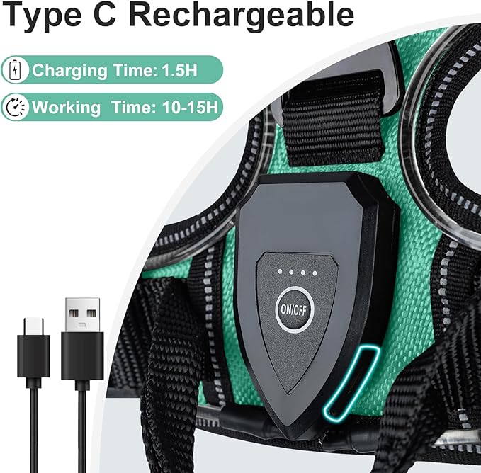 Taglory Light Up Dog Harness, Rechargeable No Pull Dog Vest with 3 Lightning Modes, Reflective Dog Harness with 2 Leash Clips & 4 Adjustable Slide Strips for Small Dogs, Turquoise-Green, S