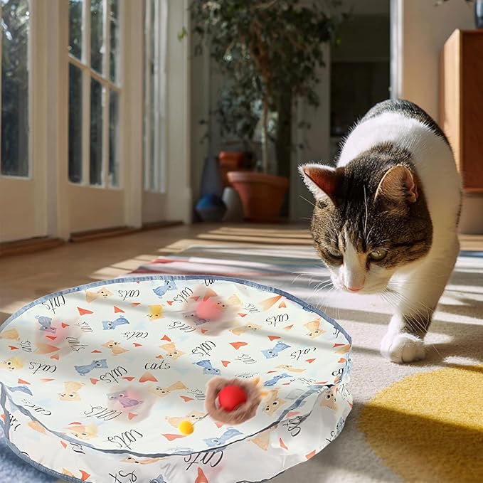 Rocfish Interactive Cat Toys Ball - Automatic Fast Rolling Ball in Play Mat, Hide and Seek Mouse Catching Game, Low-Noise Cat Enrichment Toys in Pouch for Indoor Bored Cats (Red Toy & Round Mat)