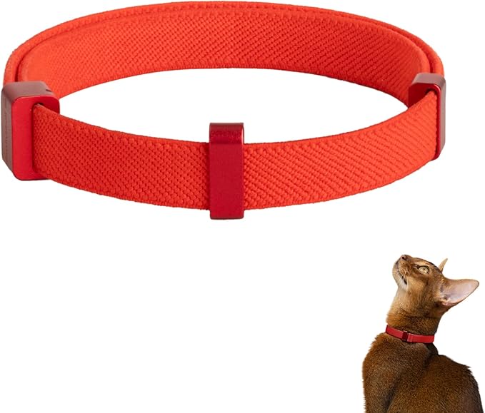 Safety Cat Collar Pro - U.S. IDA Gold Awarding Design, Elastic Quick Release Cat Collar with Buckle Non Breakaway - Lightweight for Kitten All Small Large Cats (Vivid Red, S 5.9-11.8")