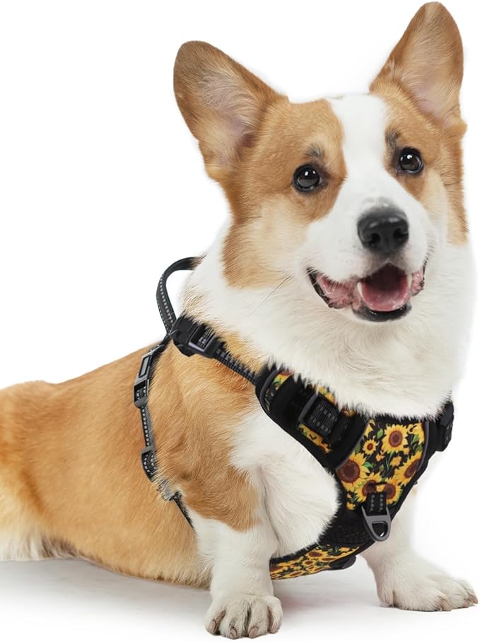 PUPTECK No Pull Dog Harness Medium Sized, Adjustable Reflective Dog Harness with Handle Easy Control, Comfortable Soft Padded Pet Vest Harness for Medium Dogs, Sunflower M