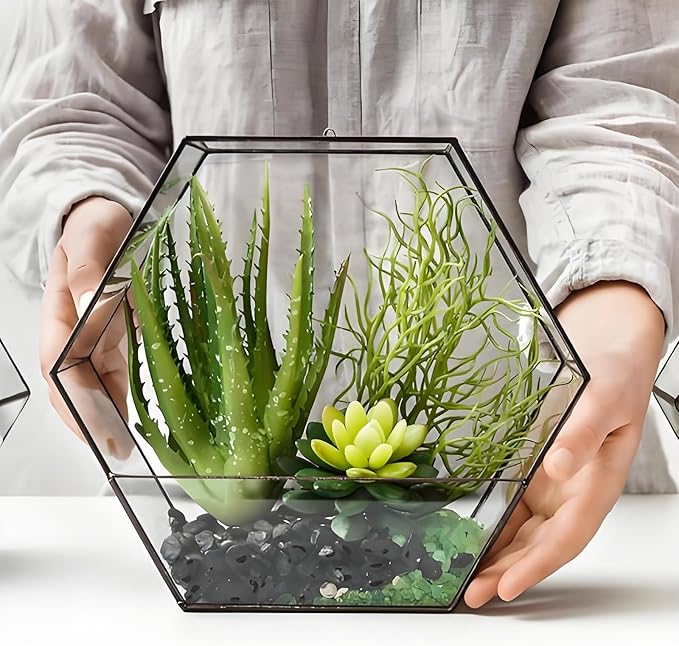 5 lbs Small Black Pebbles - 3/8 inch Decorative Stones for Indoor Plants, Outdoor, Vase, Landscaping & Garden