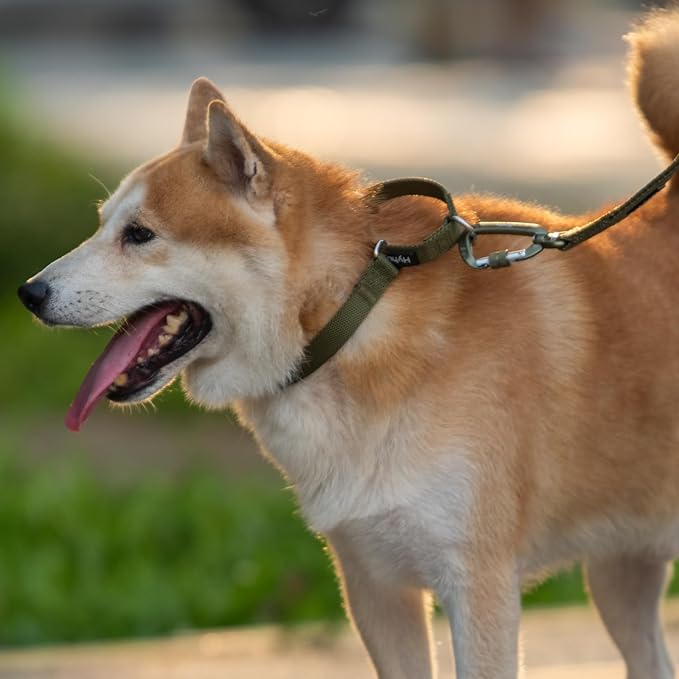 Hyhug Pets Premium Upgraded Heavy Duty Nylon Anti-Escape Martingale Collar for Boy and Girl Dogs Comfy and Safe - Professional Training, Daily Use Walking. (Army Green, Large)