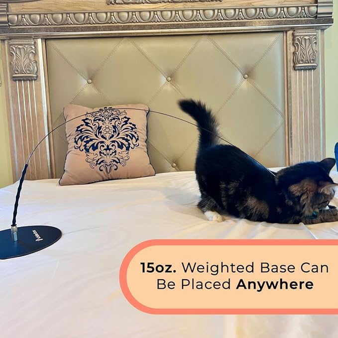 Interactive Catnip Bird Toy Set, Interactive Cat Toys for Indoor Cats, Cat Feather Toy, Suction Cup, Weighted Base, 5 Replacement Birds, Feathers & Bells, Realistic Bird Impression