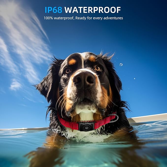 Reflective Air Tag Dog Collar - 100% Waterproof Dog Collar AirTag Holder | Extra-Durable, Soft Padded AirTag Dog Collars for Small Medium Large Dogs