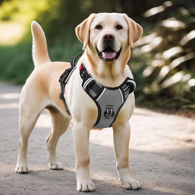 Timos Dog Harness Large Sized, No Pull with Neck Lockable Snap,No Choke Front Clip Dog Reflective Harness,Adjustable Metal Rings 3 Buckles,Easy Control Handle for Large Dogs Gray XL