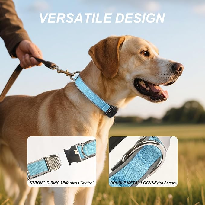 Waterproof Airtag Dog Collar - Nylon Collar with Durable Airtag Holder, Reflective&Anti-Lost with Safety Metal Buckle, Soft Padded Adjustable for Small Medium Large Dogs Blue L