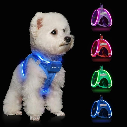 Light Up Dog Harness,Rechargeable LED Dog Harness for Small Medium Large Dogs,Reflective Lighted Safety Vest for Night Walking & Camping,Lightweight & Adjustable,Sky Blue,XS