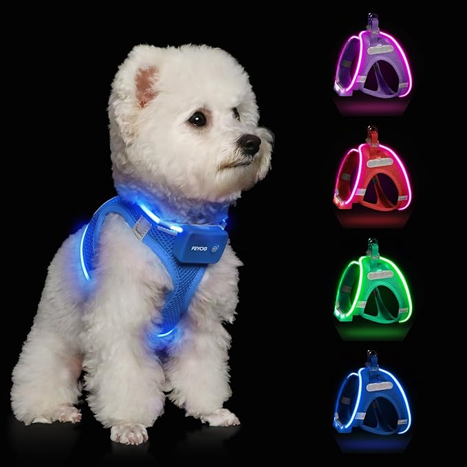 Light Up Dog Harness,Rechargeable LED Dog Harness for Small Medium Large Dogs,Reflective Lighted Safety Vest for Night Walking & Camping,Lightweight & Adjustable,Sky Blue,L