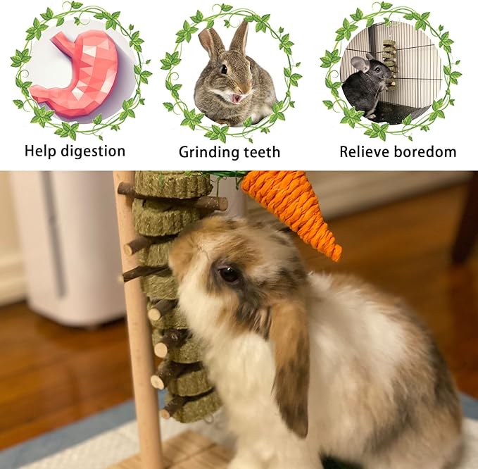 kathson Rabbit Chew Toys,Bunny Grind Teeth 100% Natural Organic Apple Wood Stick Improve Rodent Health Rabbits Hamsters Squirrel Guinea Pig(4 Pieces)