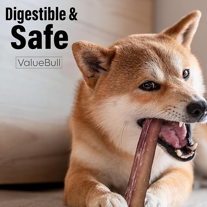 ValueBull Bully Sticks for Small Dogs, Thin 12 Inch, 200 Count Bulk Pack - All Natural, Grass Fed, Single Ingredient, Long Lasting Dog Treats