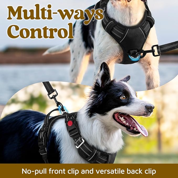 rabbitgoo Dog Harness Medium Sized, No Pull Dog Vest with 3 Buckles, Adjustable Soft Padded Pet Harness with Easy Control Handle and Reflective Strips, Black, M