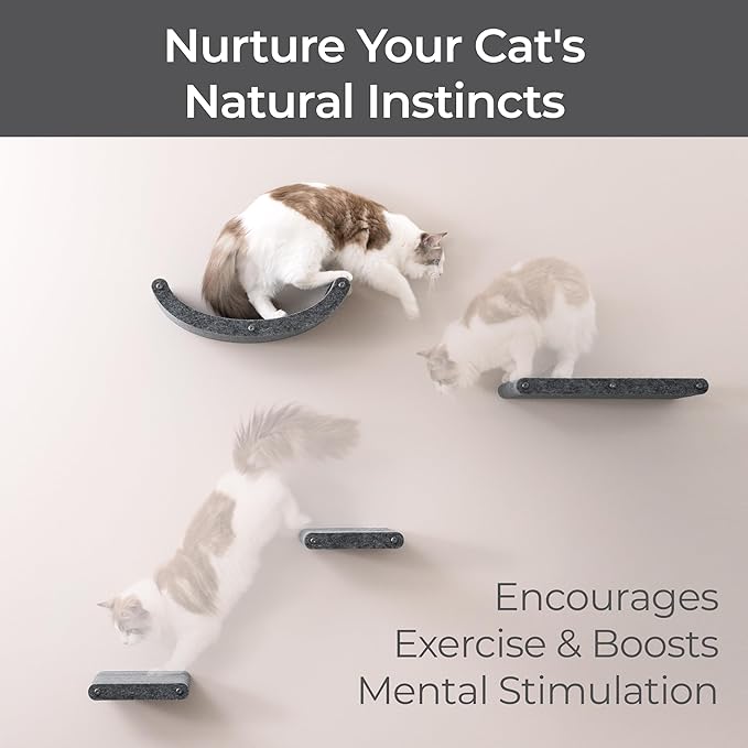 Wall Mounted Cat Shelves (Set of 4) by Pryde Pets - 100% Sustainable PET Felt Feline Enrichment Climber Furniture for Small & Large Indoor Cats, Modern Climbing Gym Jungle Design (Charcoal)