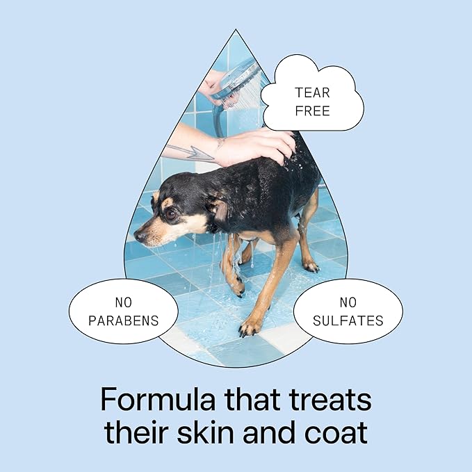 DedCool Pet Shampoo (01 Taunt, Mini 2 oz) Tear-Free, for Sensitive Skin, Hypoallergenic, Dry Skin & Itch Relief, Deodorizing Shampoo & Conditioner for Dogs & Cats, Vegan, Clean, Non-Toxic