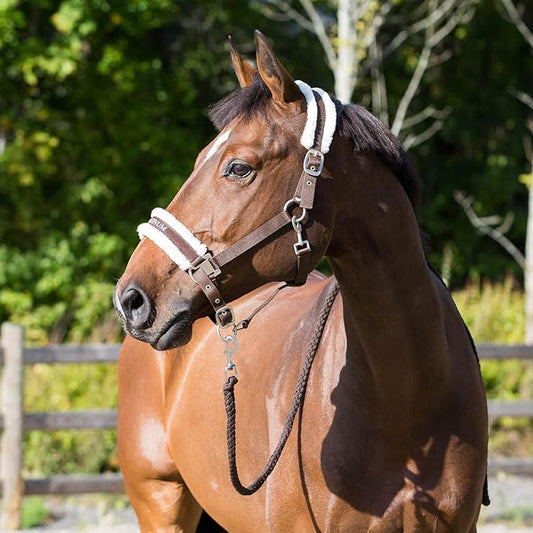 HORZE Howard Padded Fleece Comfortable Adjustable Polyester Horse Halter - Dark Brown - Warmblood